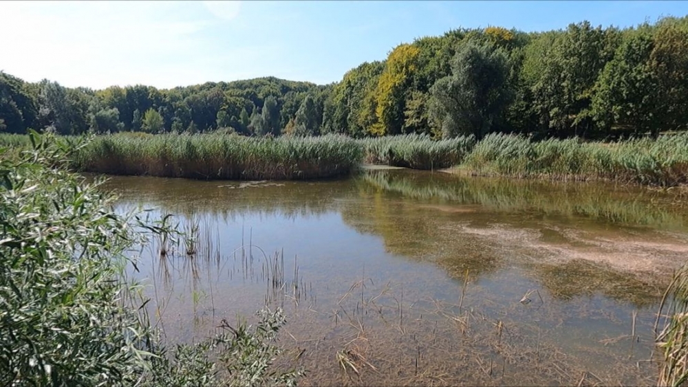 Borba za Sovsko jezero: Ustali protiv apartmanizacije omiljenog Modrog oka Slavonije