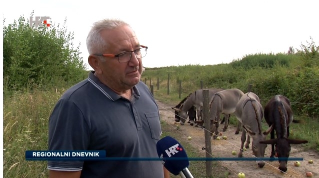 Uzgoj magaraca u Slavoniji