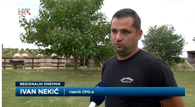 Uzgoj magaraca u Slavoniji