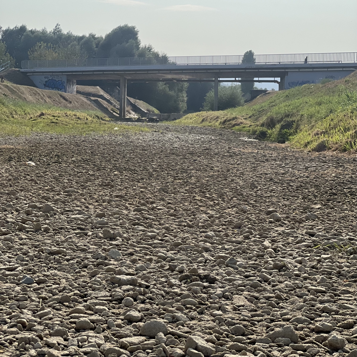 FOTO: Orljava presušila gotovo u potpunosti!