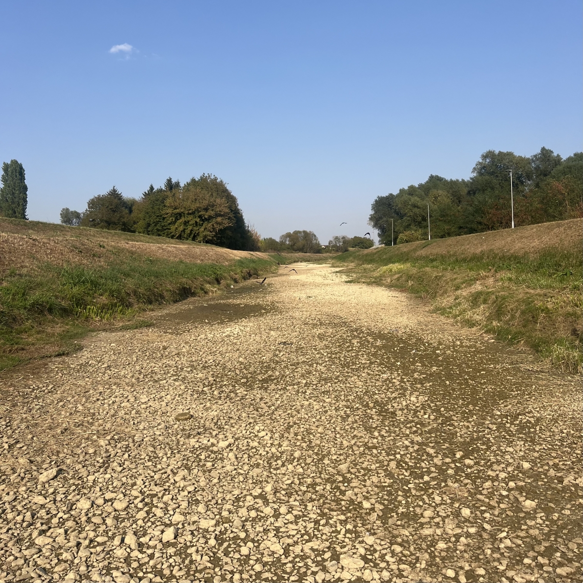 FOTO: Orljava presušila gotovo u potpunosti!