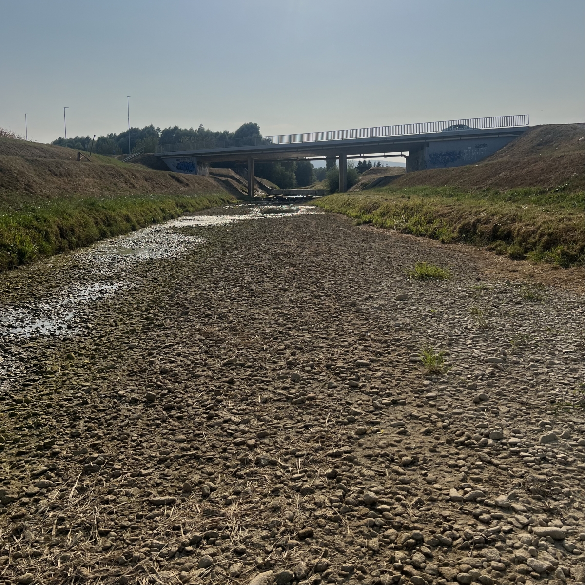 FOTO: Orljava presušila gotovo u potpunosti!