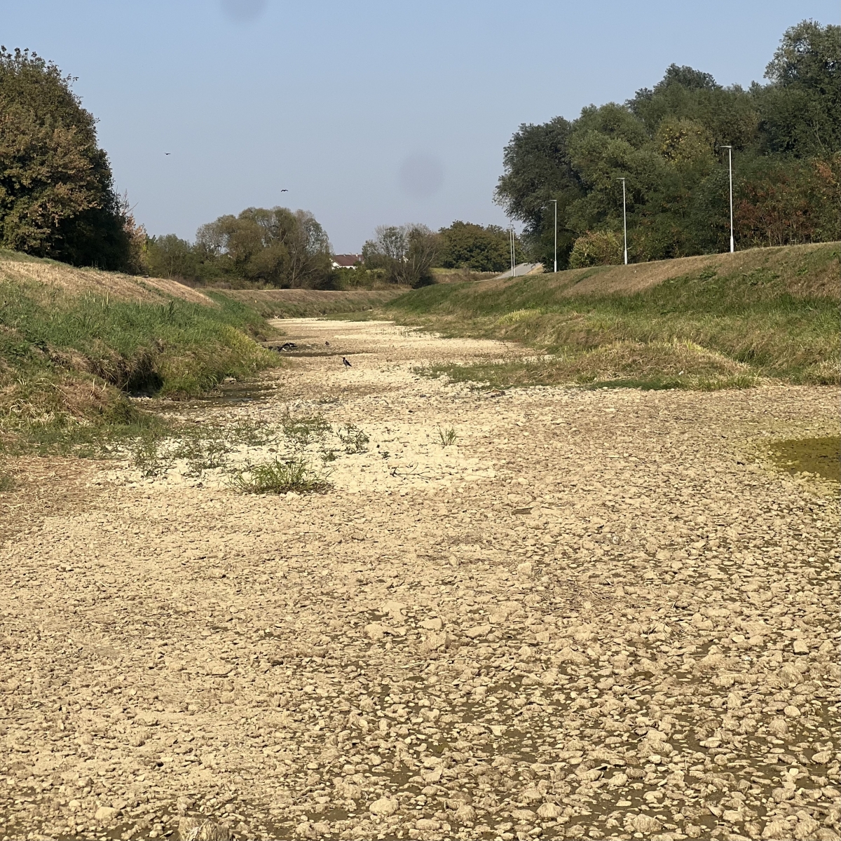 FOTO: Orljava presušila gotovo u potpunosti!