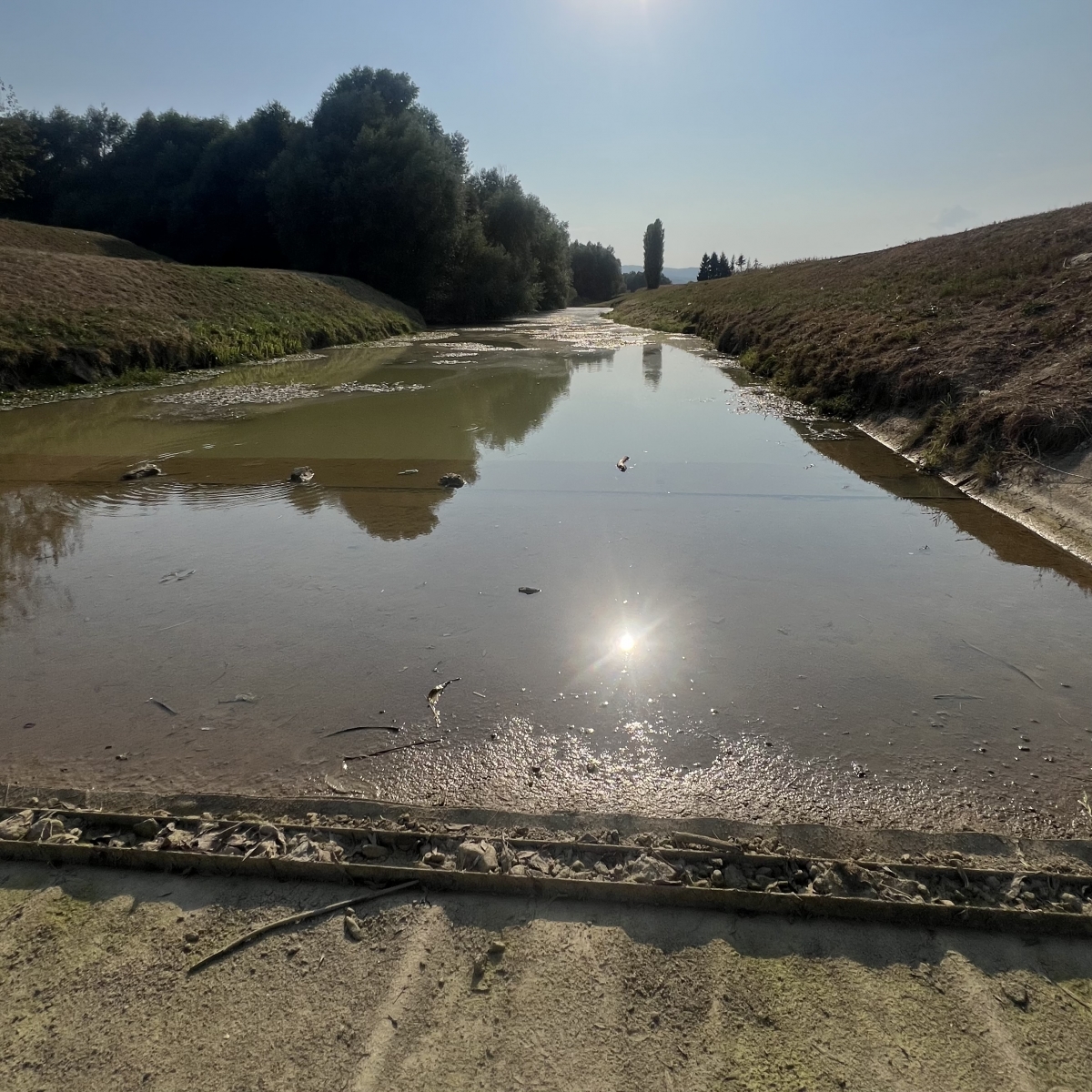 FOTO: Orljava presušila gotovo u potpunosti!