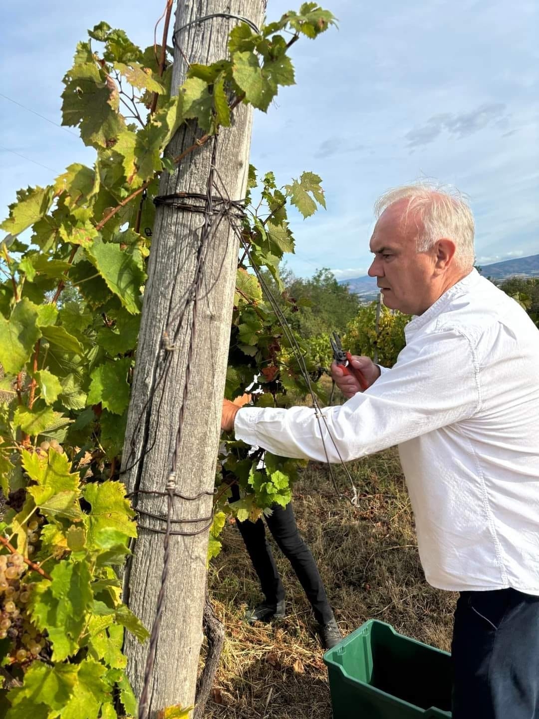 RCK PANONIKA: Početak nastavne godine obilježen berbom graševine