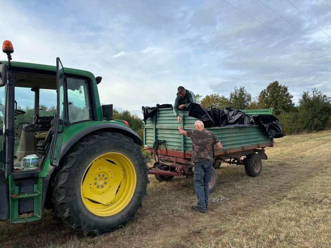 RCK PANONIKA: Početak nastavne godine obilježen berbom graševine