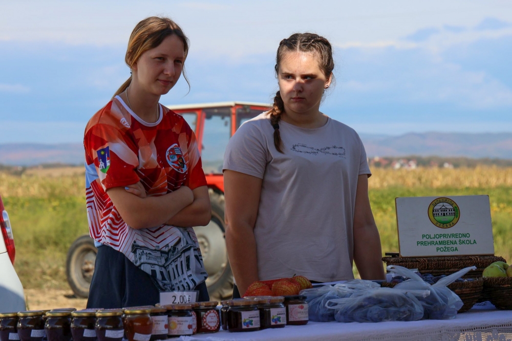 20. Županijsko natjecanje orača održano na požeškoj Ratarnici, Pilaš i Samaržija pobjednici
