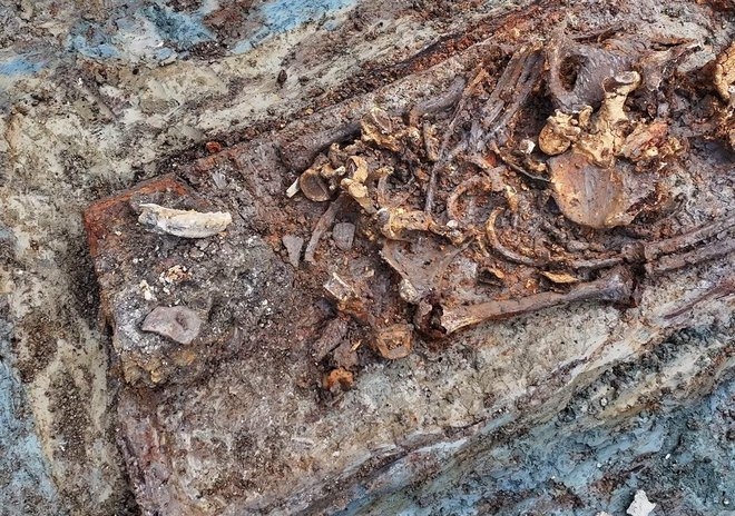 U Pakracu otkriven sarkofag s ’vampirom’: ’Ima konjsku glavu umjesto ljudske’