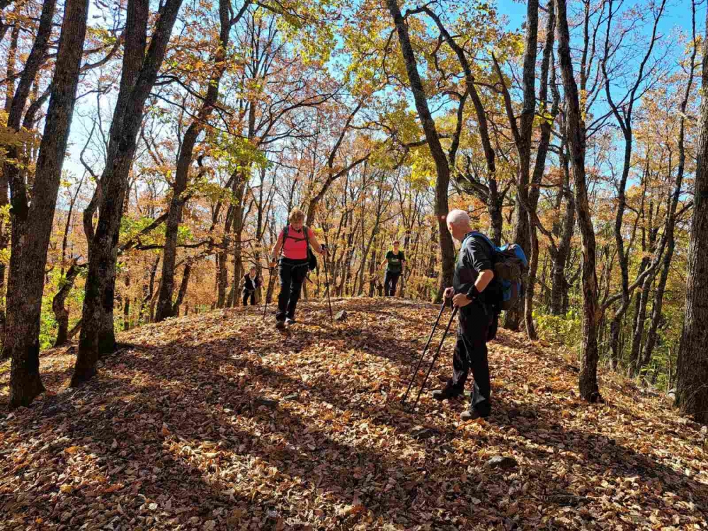 Tragom putopisa Julija Kempfa - Staza jaglaca na Papuku