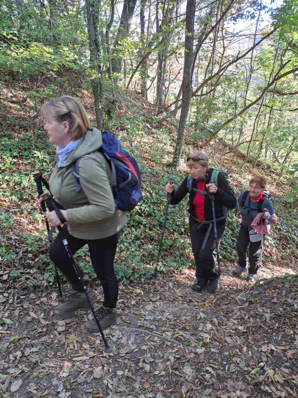 Tragom putopisa Julija Kempfa - Staza jaglaca na Papuku