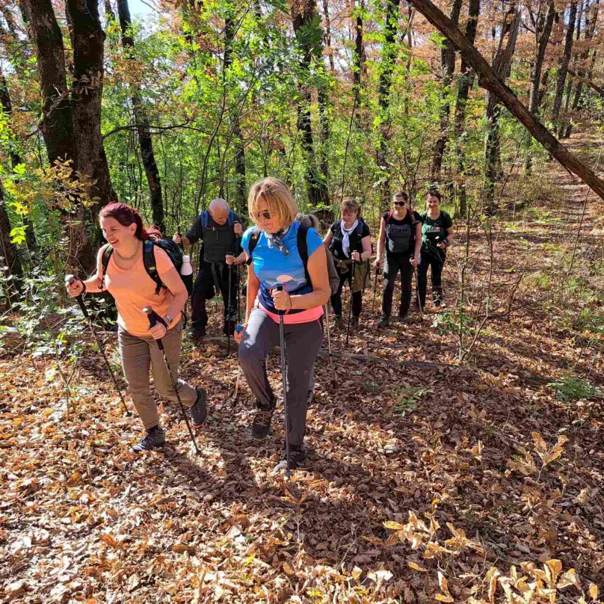 Tragom putopisa Julija Kempfa - Staza jaglaca na Papuku