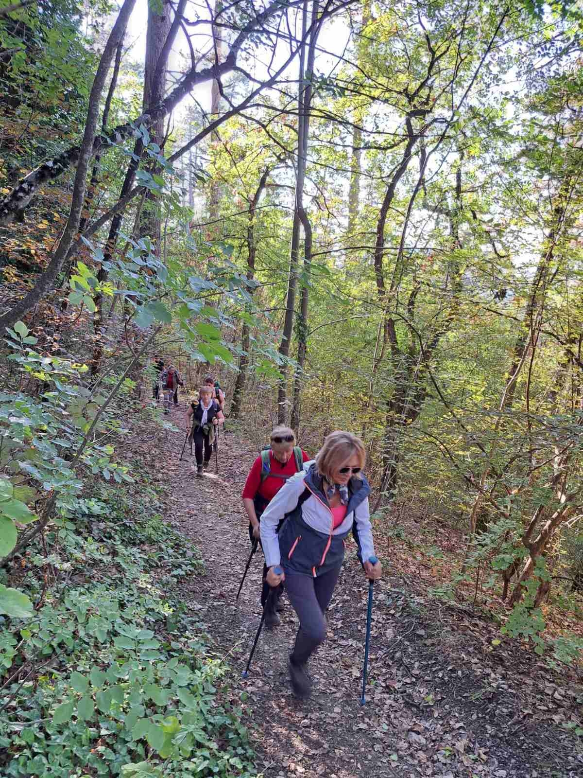 Tragom putopisa Julija Kempfa - Staza jaglaca na Papuku