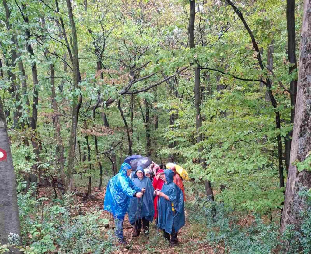 HPD SOKOLOVAC: Pohod na 33. planinarsku manifestaciju ’Kroz vinograde i šume’