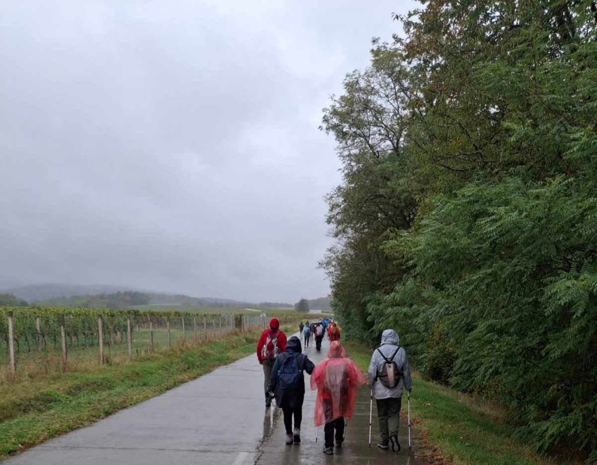 HPD SOKOLOVAC: Pohod na 33. planinarsku manifestaciju ’Kroz vinograde i šume’