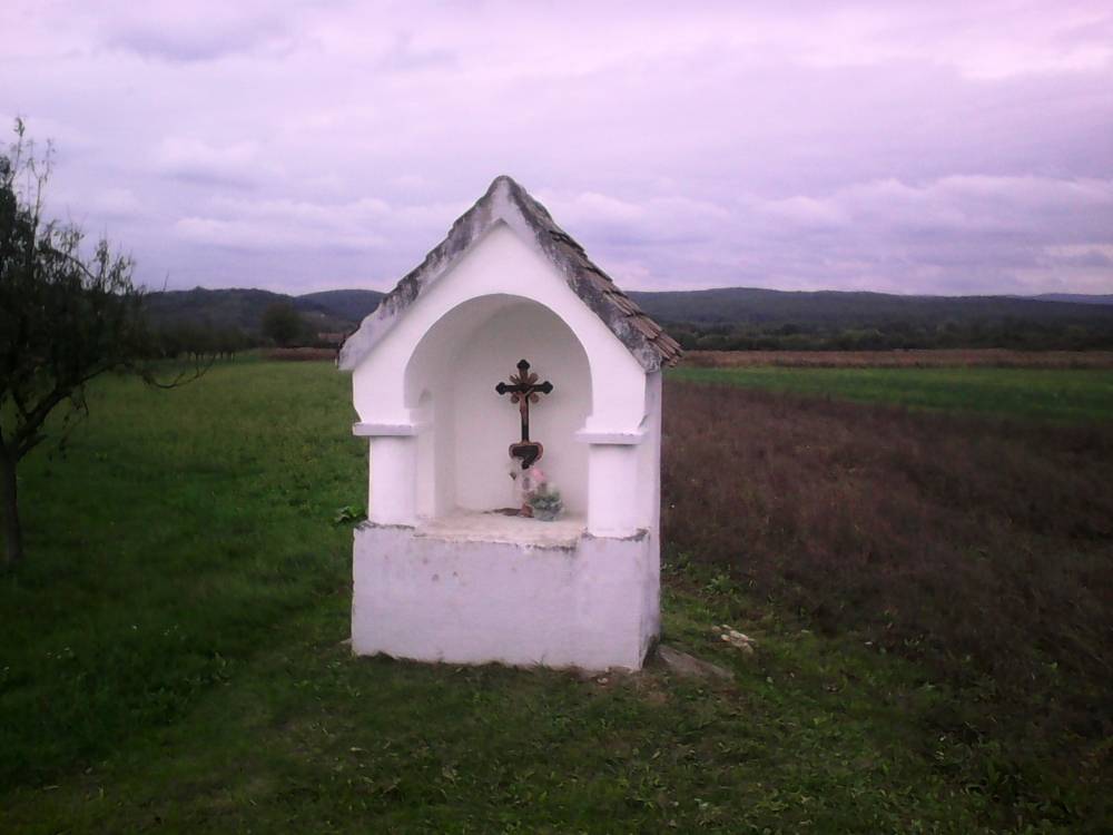 Njihovih prvih stotinu godina