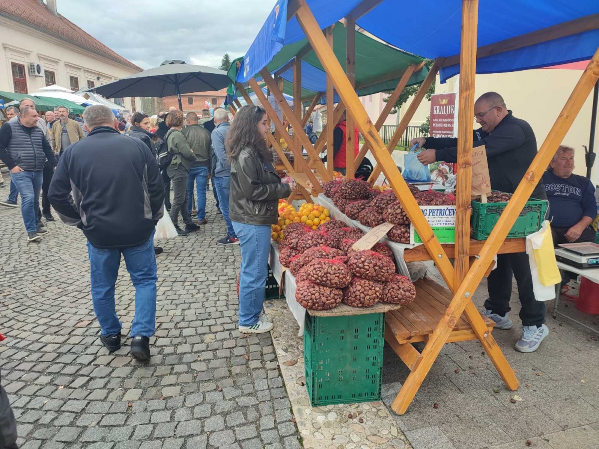 Planinari HPD ’Sokolovac’ Požega pohodili 27. ’Kestenijadu’ u Hrvatskoj Kostajnici