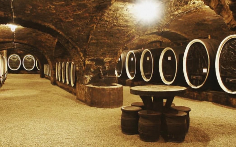 Doživite Martinje u Zen baru: Večer mladog vina i izvrsne atmosfere!