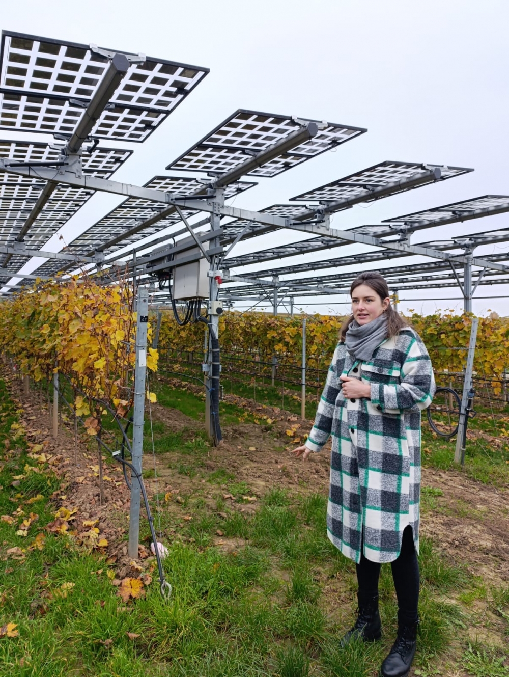 Ekonomska škola Požega na Erasmus+ mobilnosti u Bonnu: Kulturna baština vina u Europi