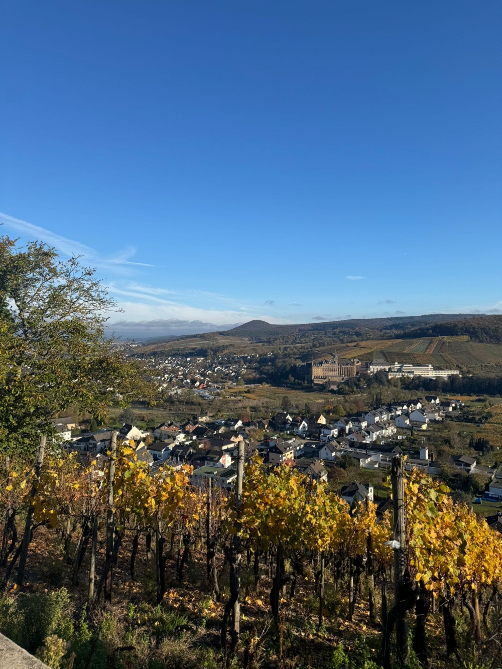 Ekonomska škola Požega na Erasmus+ mobilnosti u Bonnu: Kulturna baština vina u Europi