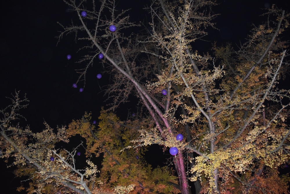 POŽEGA: Obilježen Dan palčića- prijevremeno rođene djece