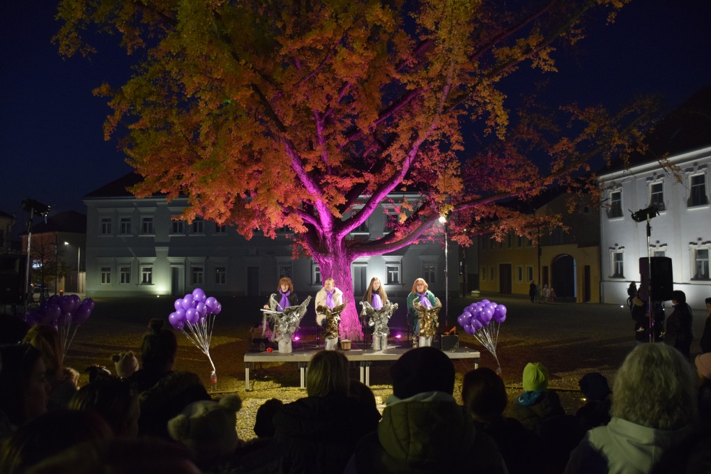 POŽEGA: Obilježen Dan palčića- prijevremeno rođene djece