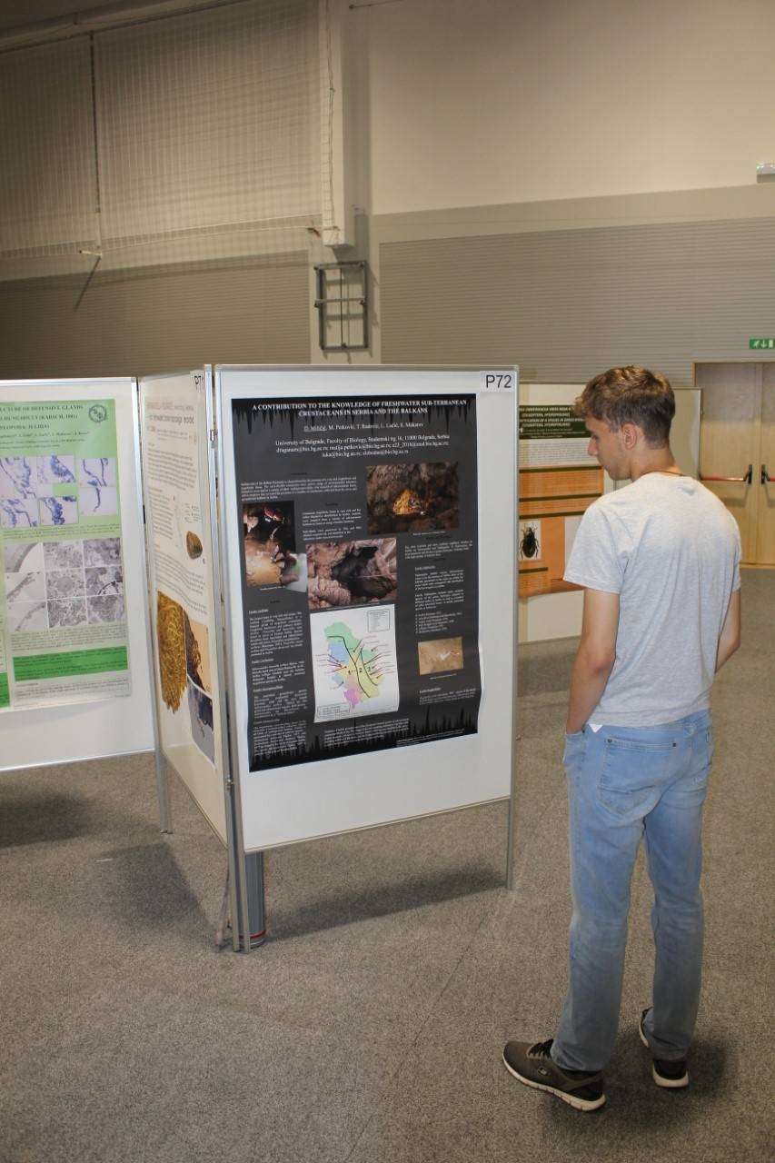 Školski projekt o najmanjem gušteru u Hrvatskoj prezentiran na Balkanskom herpetološkom simpoziju