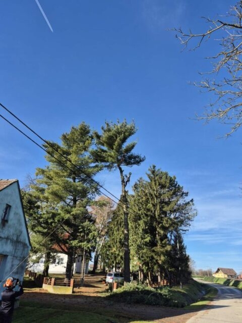 Uređivanje školskog dvorišta u PŠ Tominovac