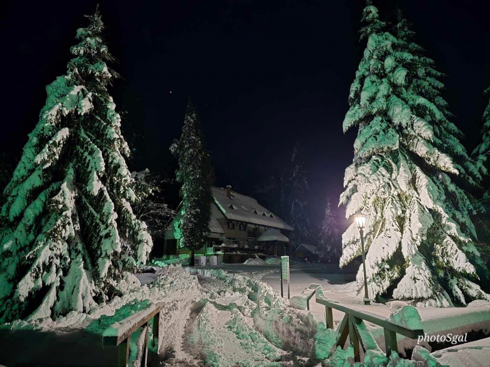 Noćne razglednice s Jankovca