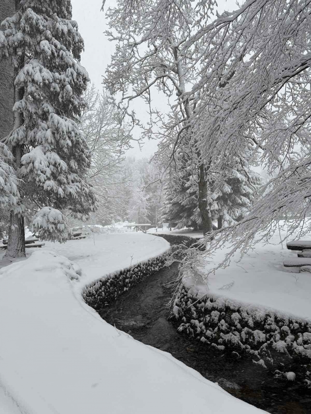 Snježna idila na Jankovcu: Pogledajte prekrasne kadrove!