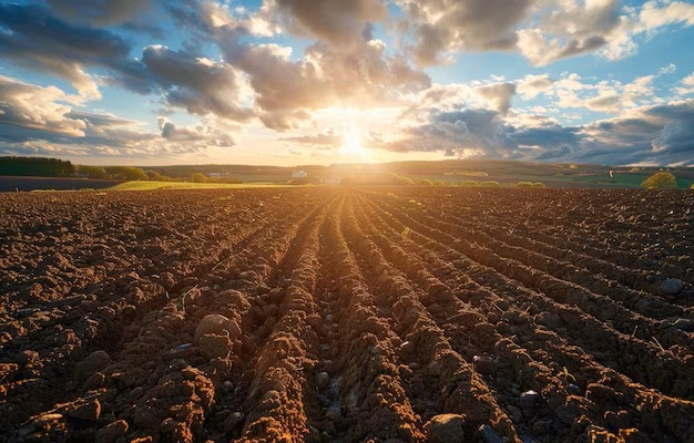 Grad Pakrac prodaje tri oranice