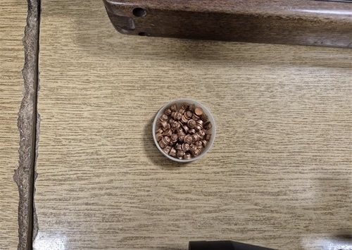 Kaptol: U pretresu kuće pronađene automatska i malokalibarska puška s optikom i prigušivačem, zračnice, plinski pištolji...