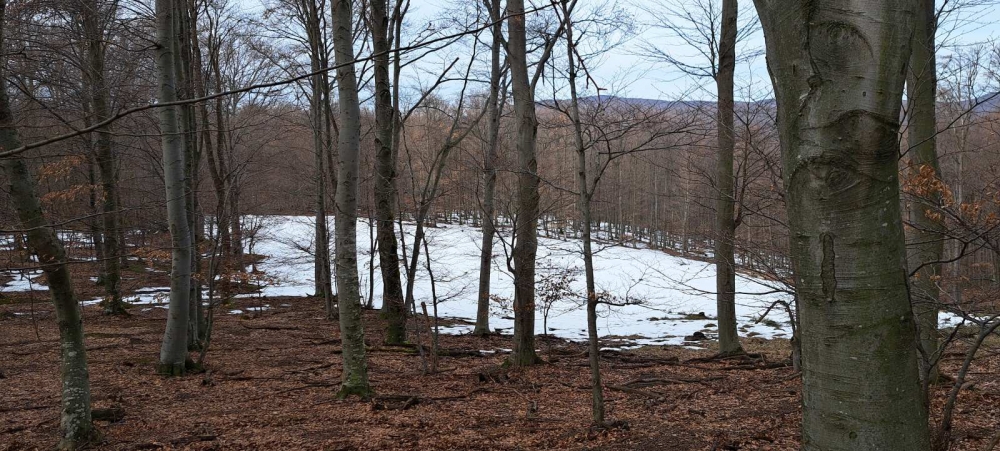 HPD Gojzerica ovog vikenda na Krndiji: Izlet za ’razbiti se’