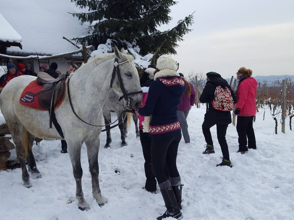 Požeškom gorom od Pleternice do Požege