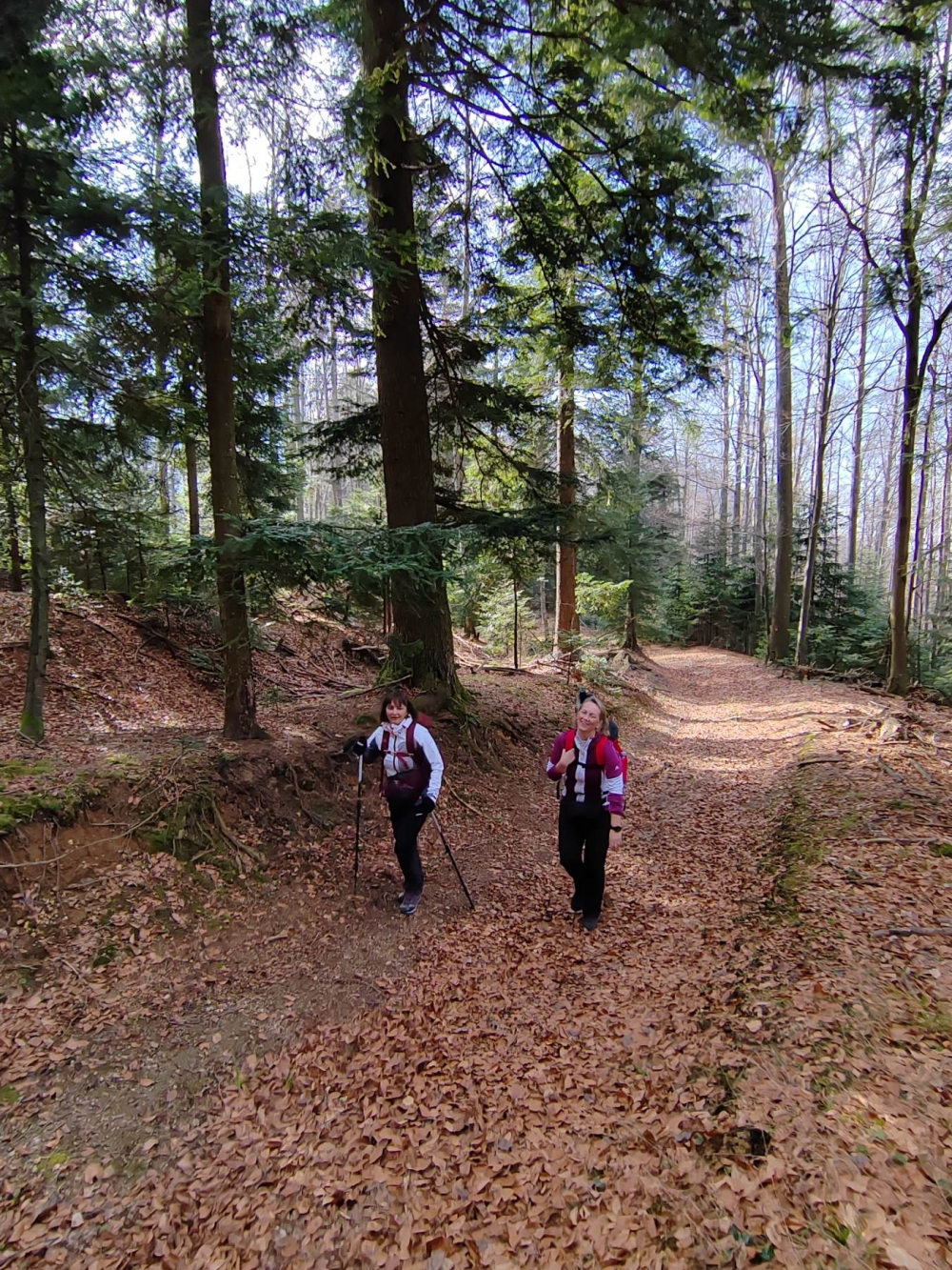 Foto: HPD Gojzerica u nedjelju organizirao izlet na Kneževu vodu (Papuk)