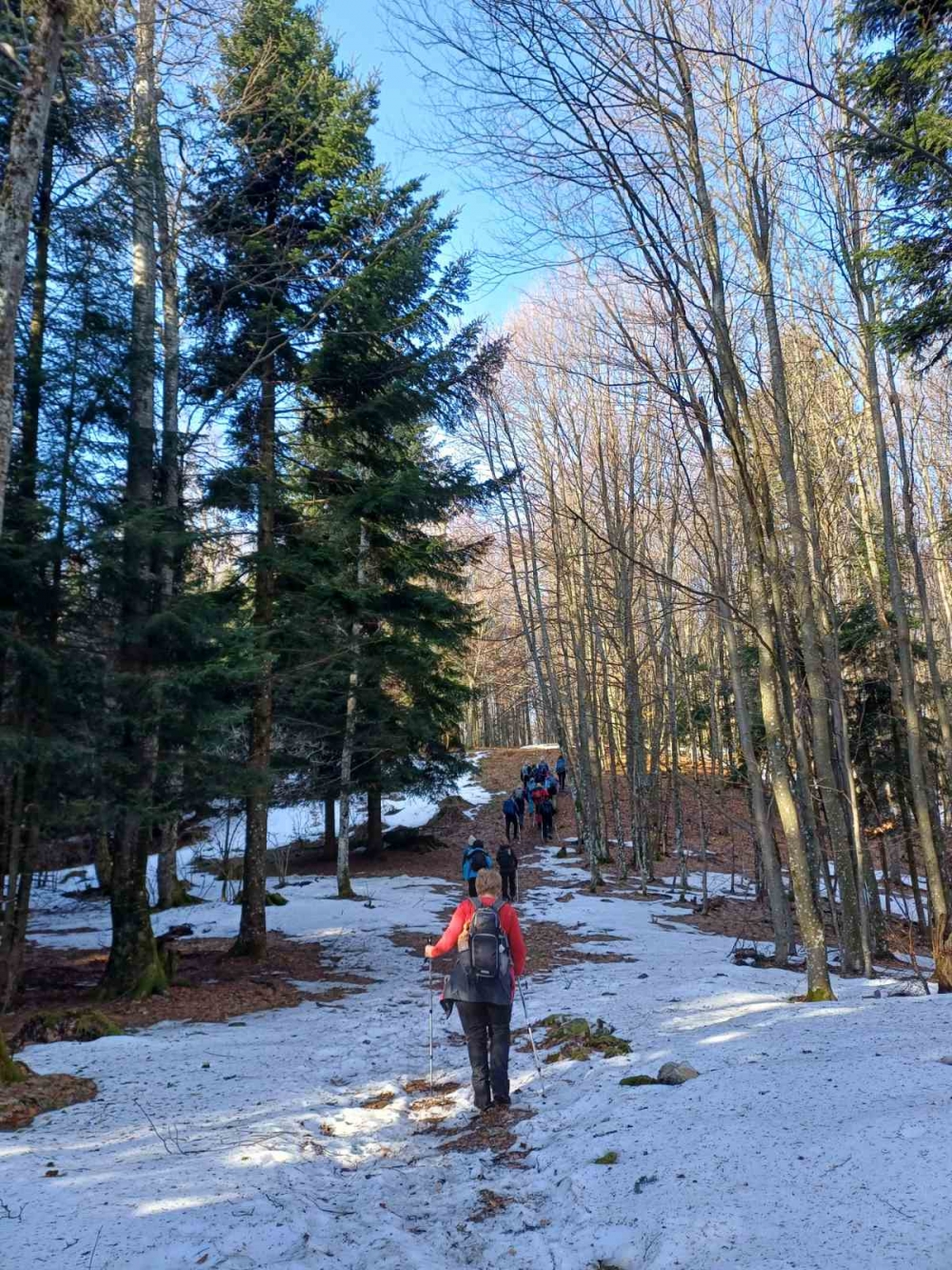 Foto: HPD Gojzerica u nedjelju organizirao izlet na Kneževu vodu (Papuk)