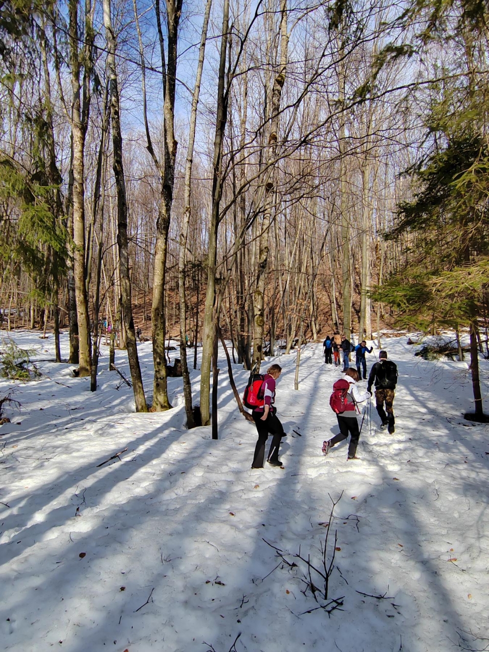 Foto: HPD Gojzerica u nedjelju organizirao izlet na Kneževu vodu (Papuk)
