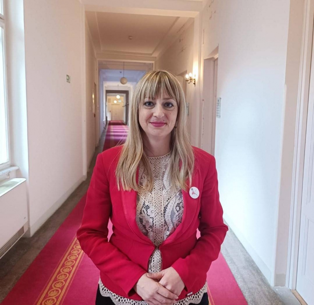 Vlašić Iljkić: Najbolja demografska mjera je maknuti HDZ s vlasti