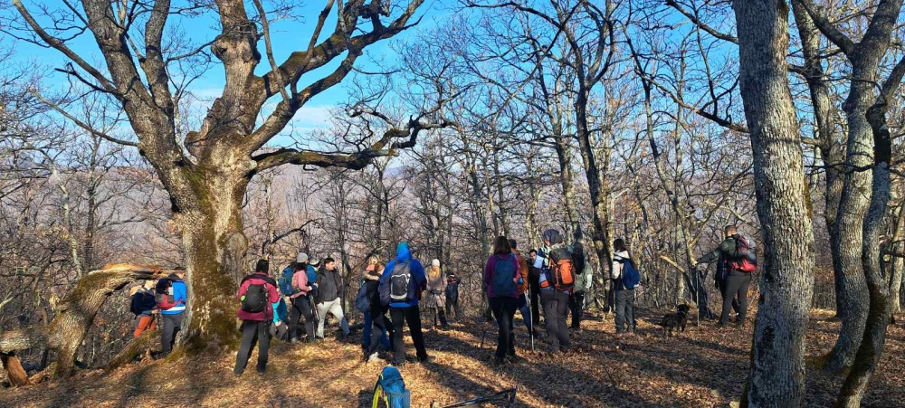 HPD Gojzerica: ’Hrbtom Papuka’