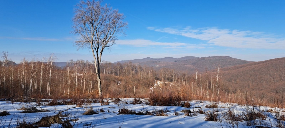 HPD Gojzerica: ’Hrbtom Papuka’