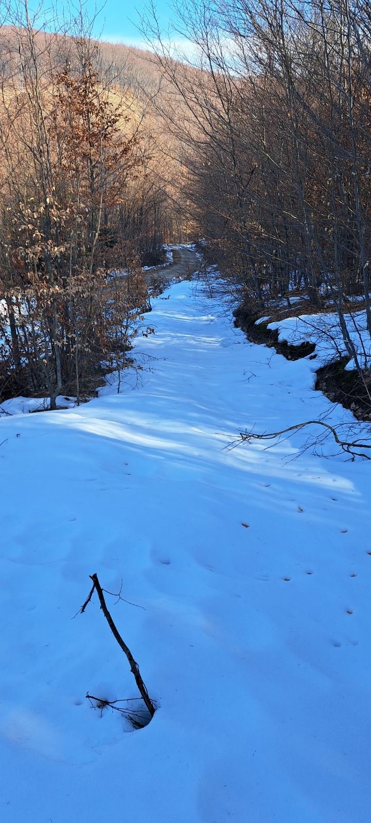 HPD Gojzerica: ’Hrbtom Papuka’