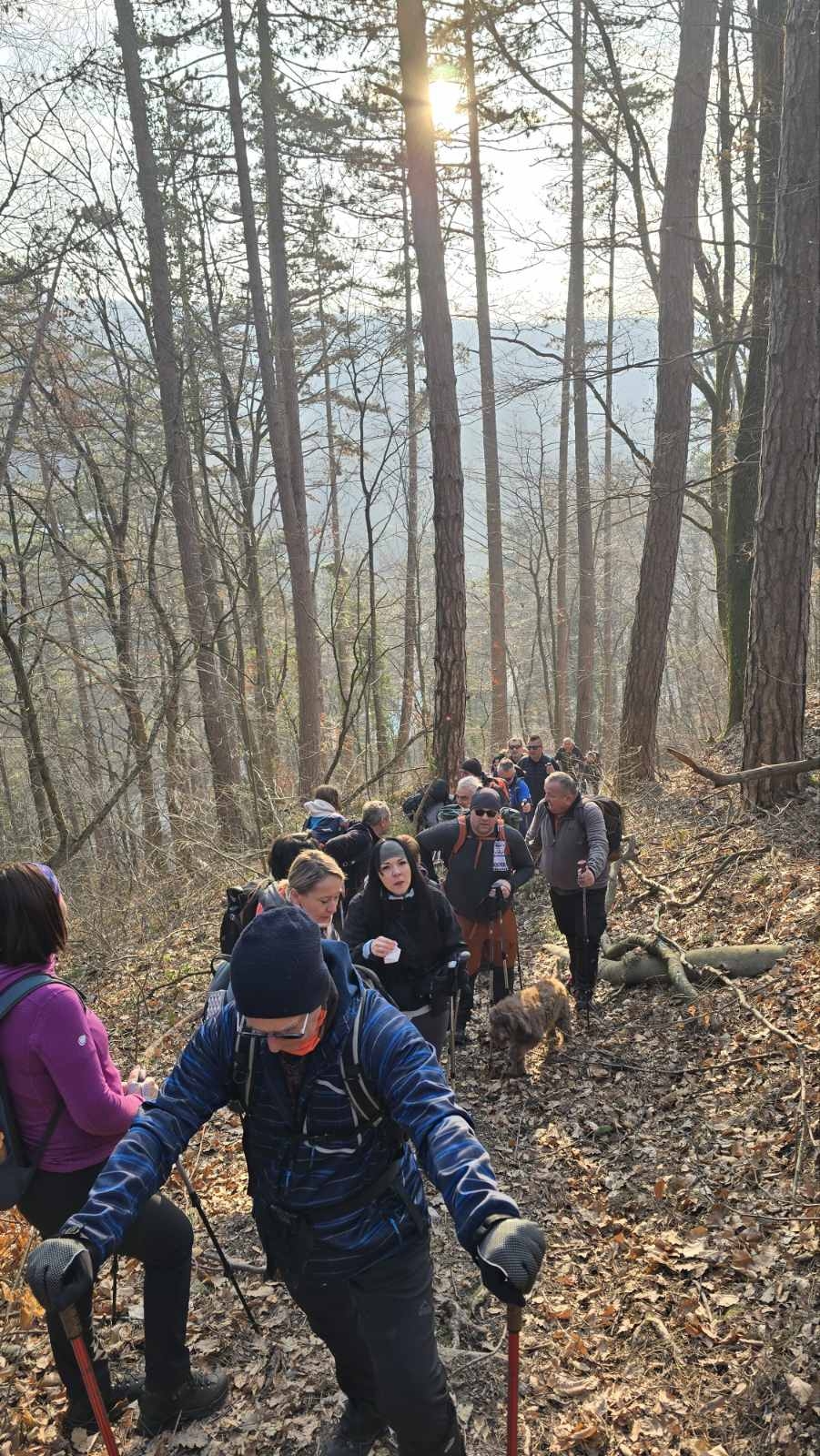 Planinarski izlet: Lapjak-Ivačka glava-Mališćak - nedjelja 23.02.2025.