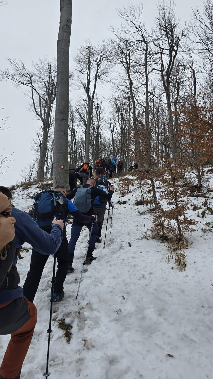 Planinarski izlet: Lapjak-Ivačka glava-Mališćak - nedjelja 23.02.2025.