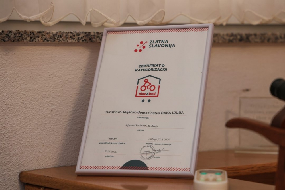 Turističko seljačko domaćinstvo Baka Ljuba: Otkrijte autentične okuse i tradiciju Slavonije