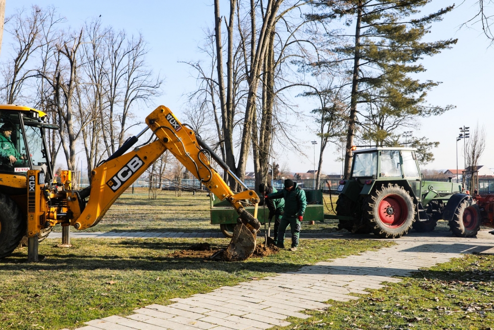 Nasljeđe za budućnost: U posljednje 4 godine posađeno preko 1.000 stabala na području Pleternice
