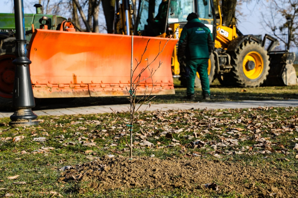 Nasljeđe za budućnost: U posljednje 4 godine posađeno preko 1.000 stabala na području Pleternice