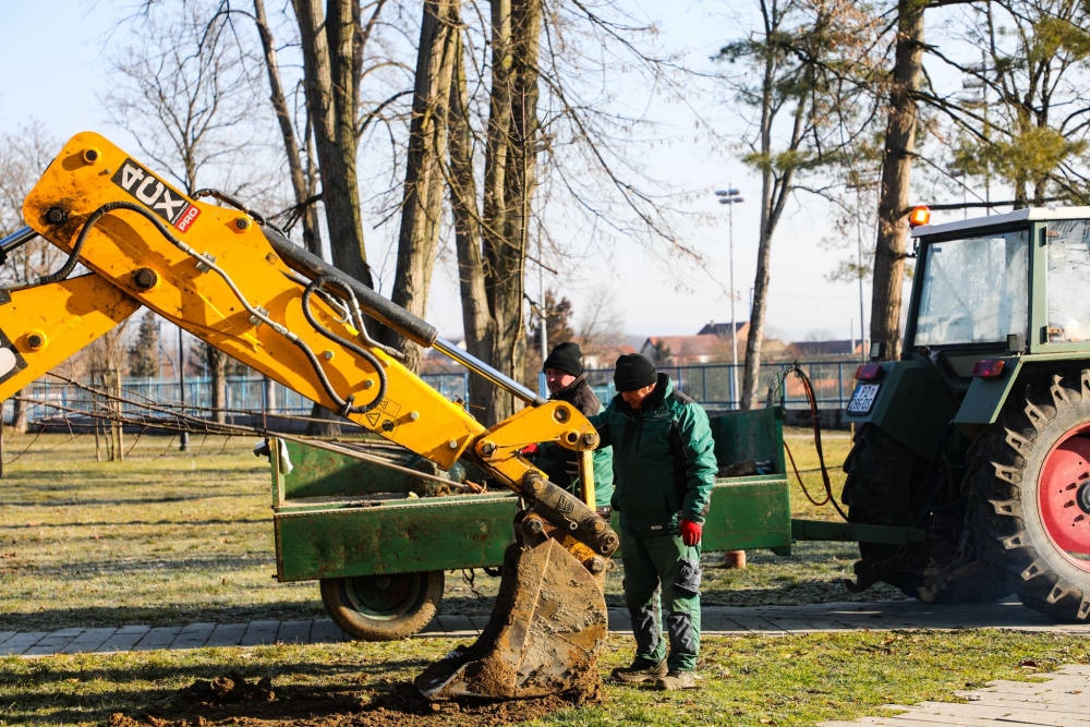 Nasljeđe za budućnost: U posljednje 4 godine posađeno preko 1.000 stabala na području Pleternice