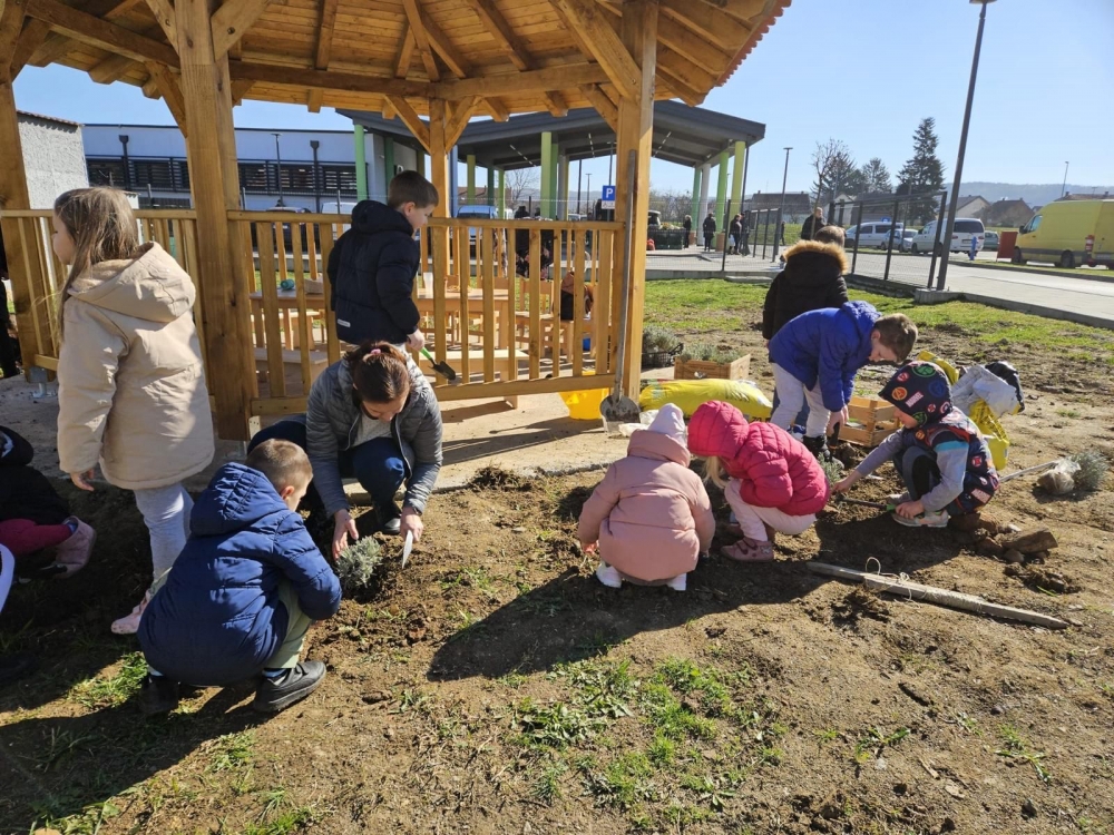 Nasljeđe za budućnost: U posljednje 4 godine posađeno preko 1.000 stabala na području Pleternice