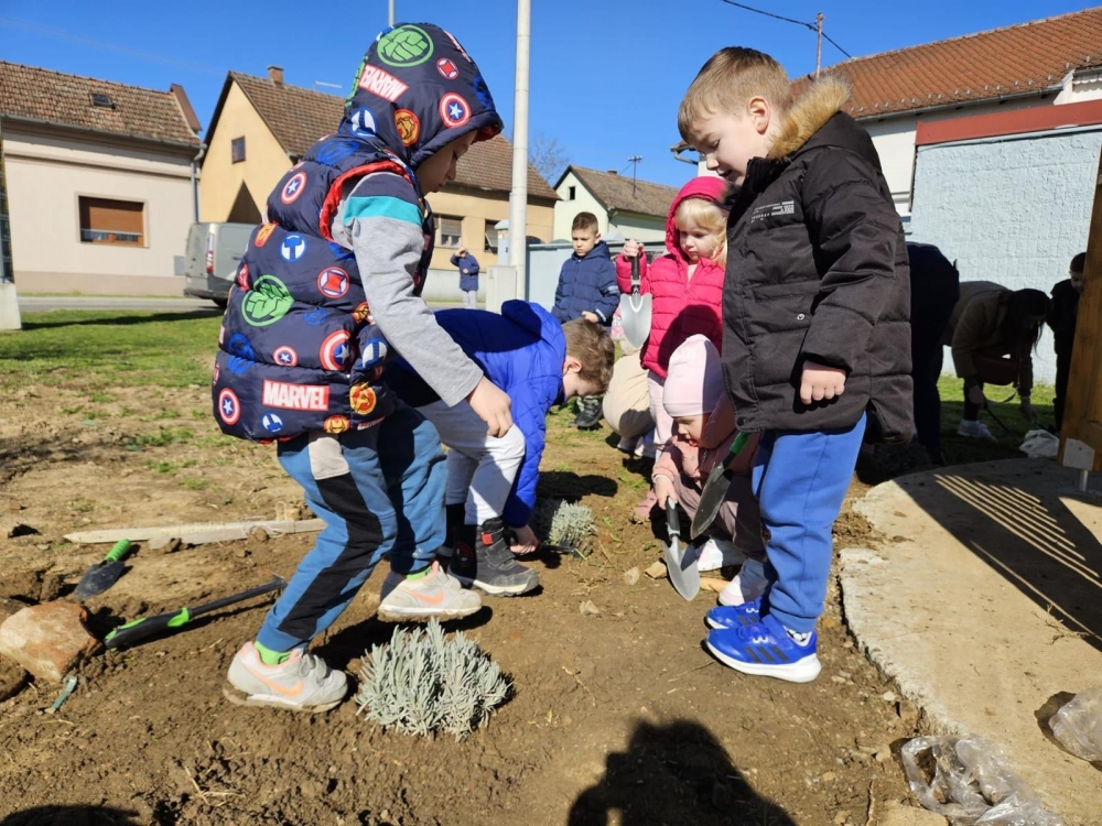 Nasljeđe za budućnost: U posljednje 4 godine posađeno preko 1.000 stabala na području Pleternice