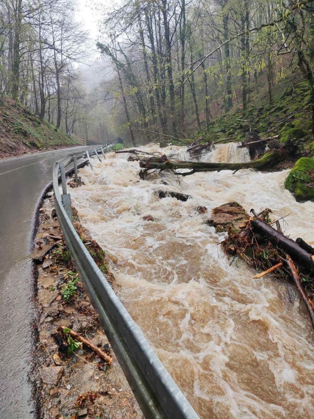FOTO: Zbog poplava se ne može do Jankovca