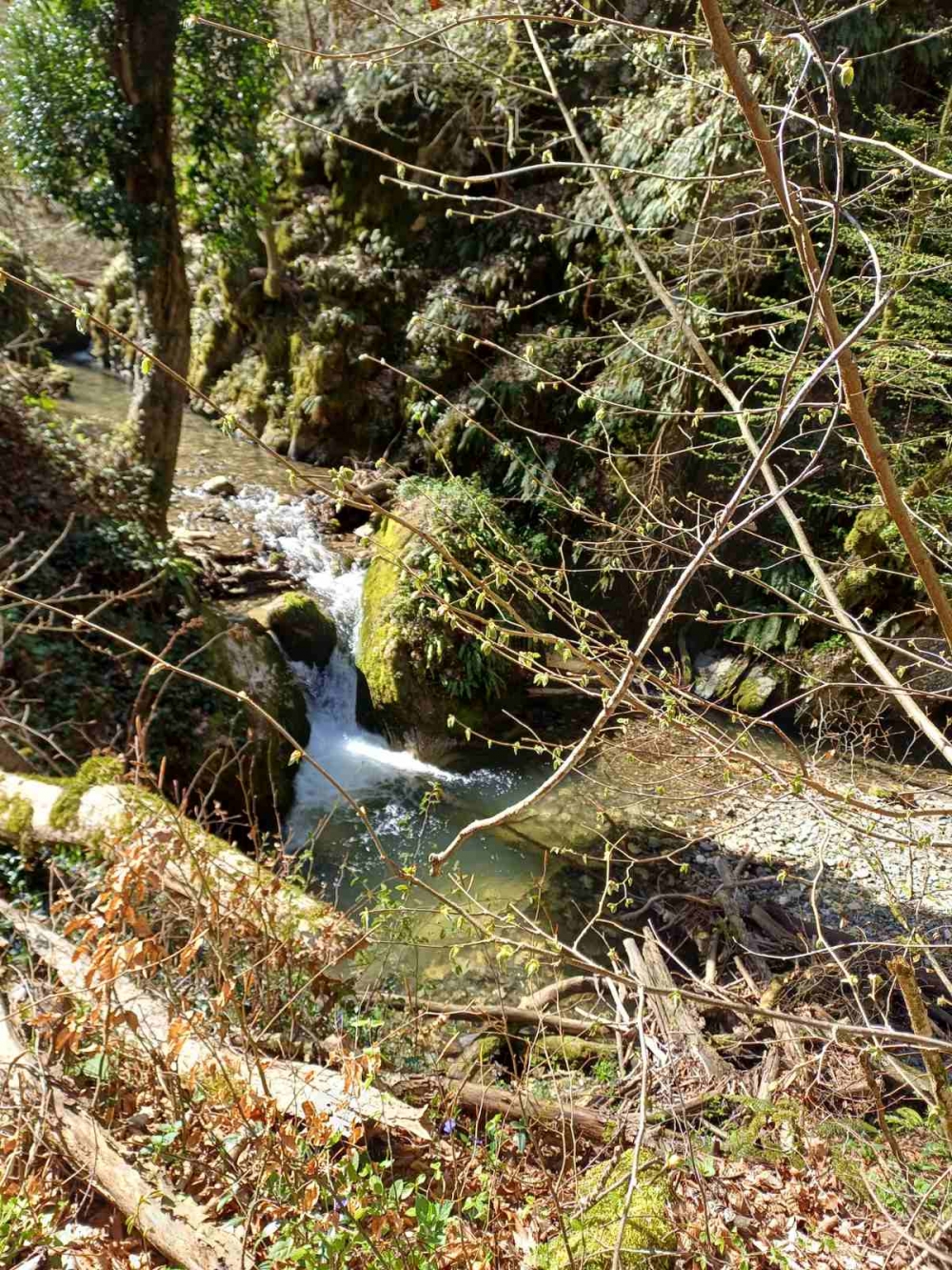 ’Gojzerice’ u nedjelju obišle Španovicu - Čaklovačku kulu - Omanovac
